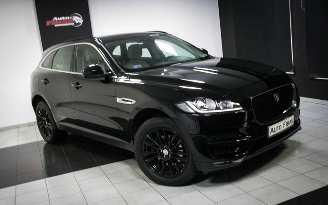 Jaguar F-Pace cena 123900 przebieg: 96000, rok produkcji 2017 z Miastko małe 562